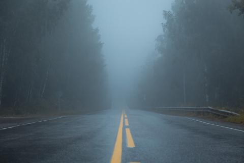 droga przez las we mgle 