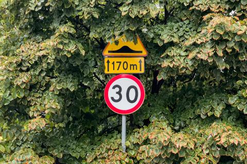 Znaki drogowe: zakazu ograniczający dozwoloną prędkość do 30 kilometrów na godzinę oraz ostrzegawczy informujący o progu zwalniającym